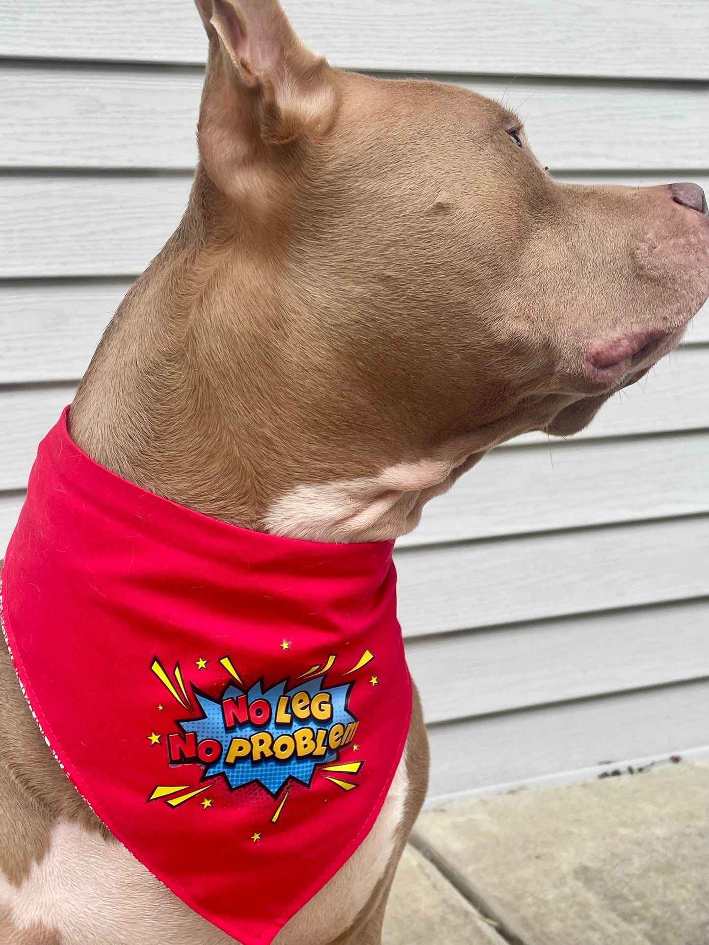 No leg no problem tripod bandana