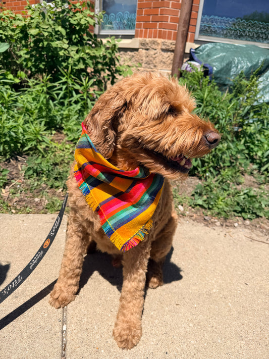 Tsïpambiti Cambaya Bandana