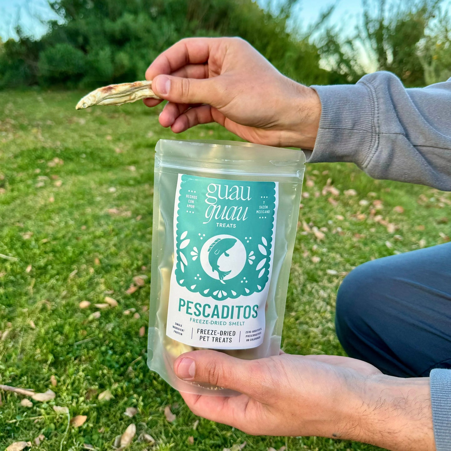 Pescaditos | Smelt Treats