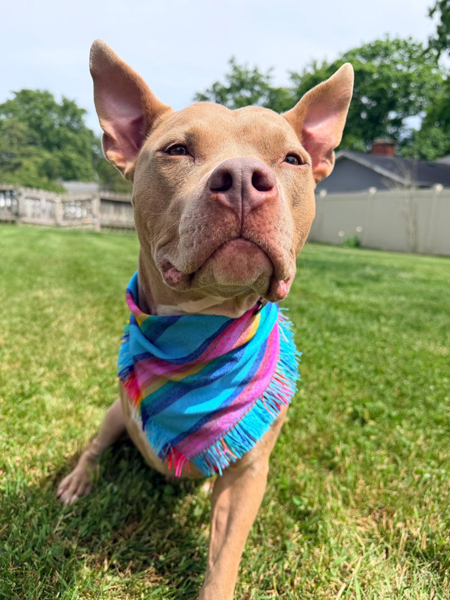 Yucatan Cambaya Bandana