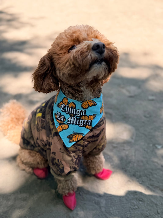 Chinga la migra bandana