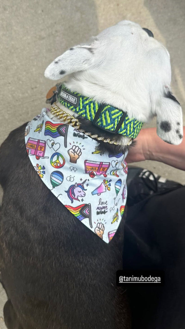 Pride bandana