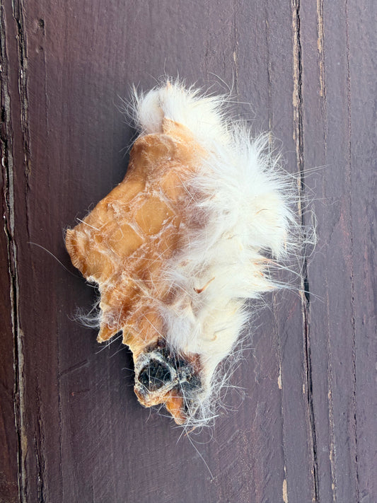 Trozitos | Rabbit Hide
