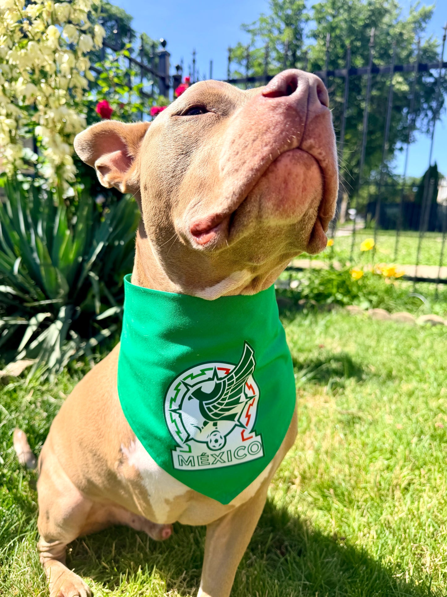 Selección México Bandana
