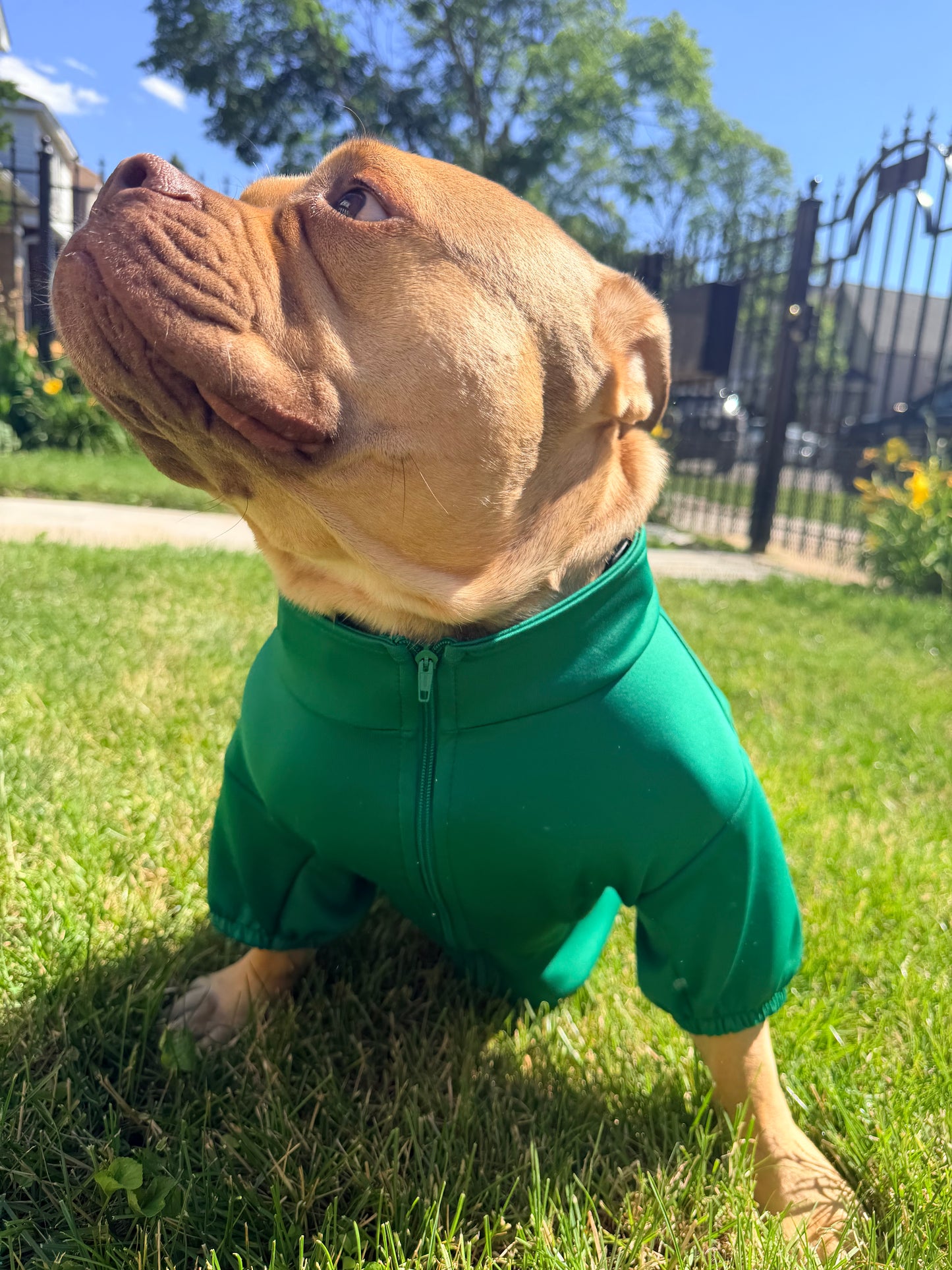 Mexico zip up
