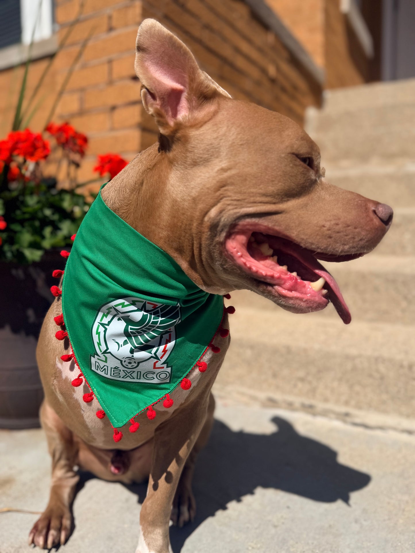Selección México with Pom poms Bandana