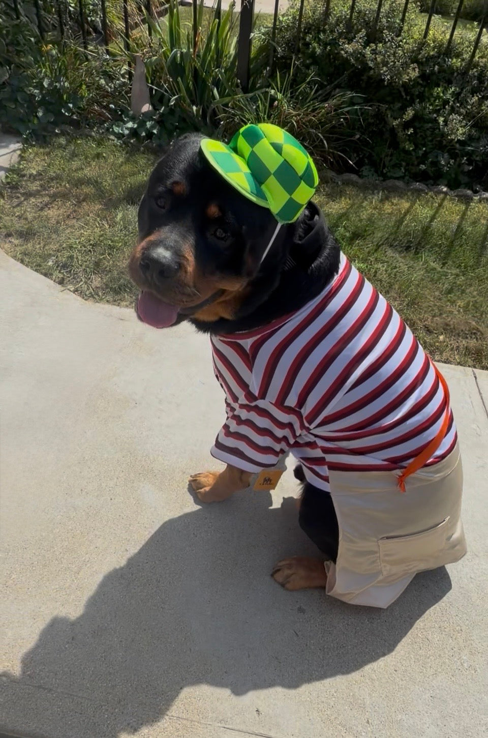 Chavo del 8