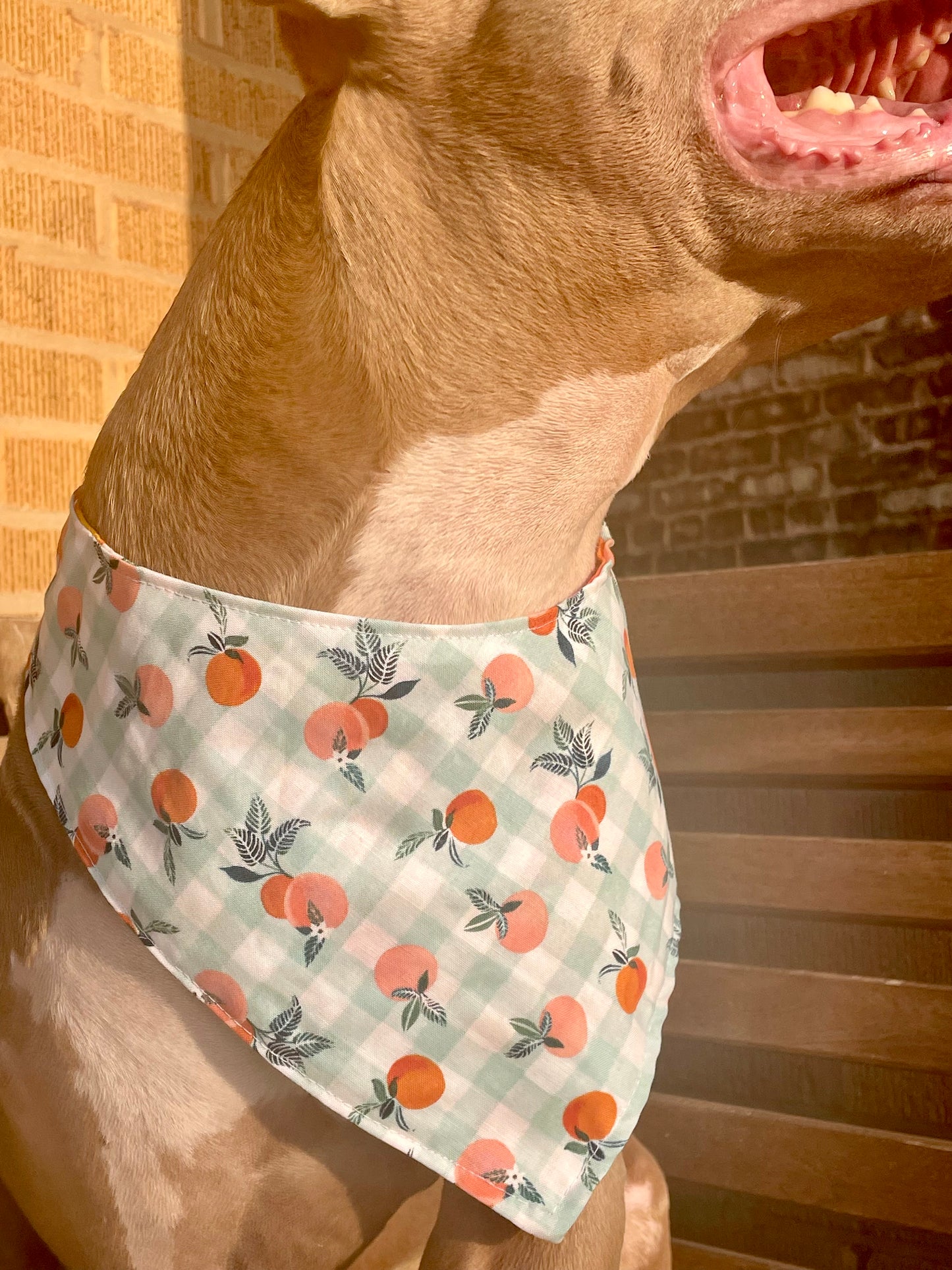 Peachy Pet Bandana