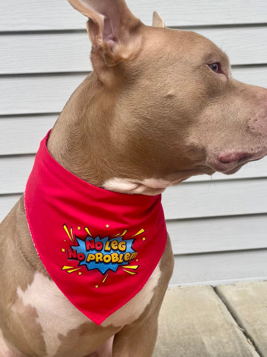 No leg no problem tripod bandana