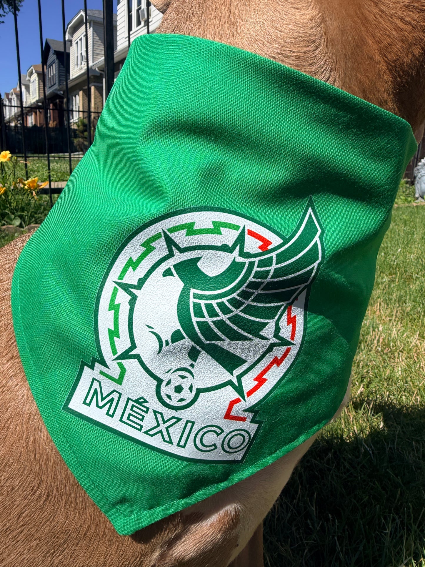 Selección México Bandana