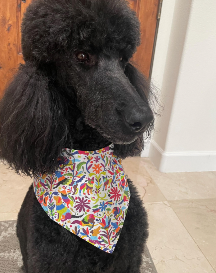 Otomí bandana