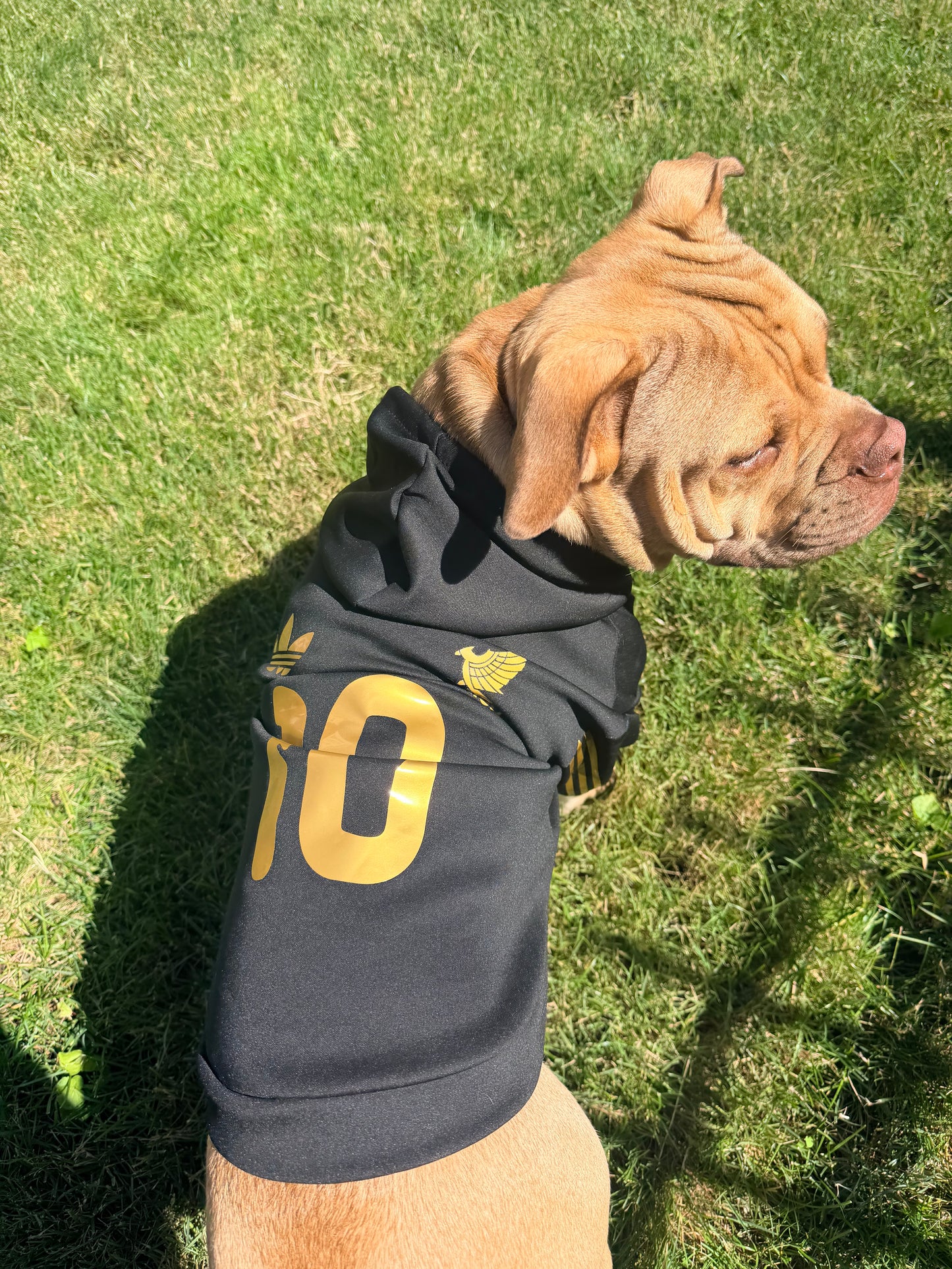 Mexico hoodie