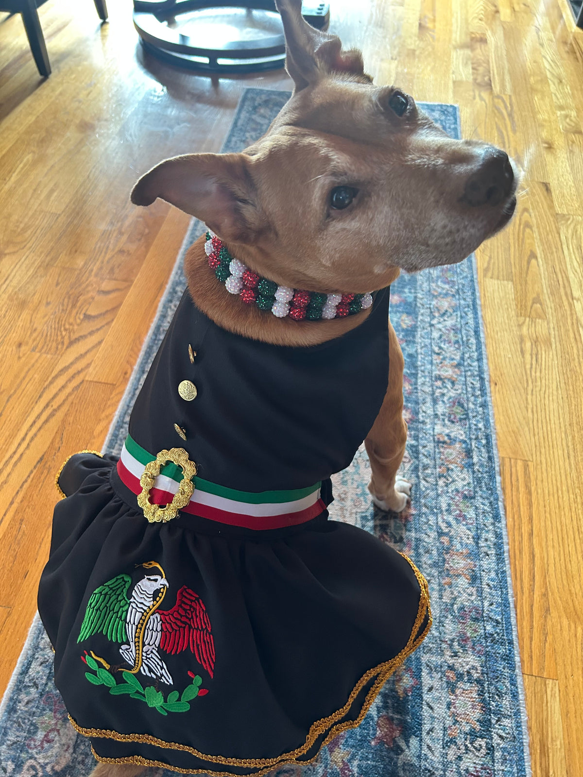 Bordado Mariachi Dress