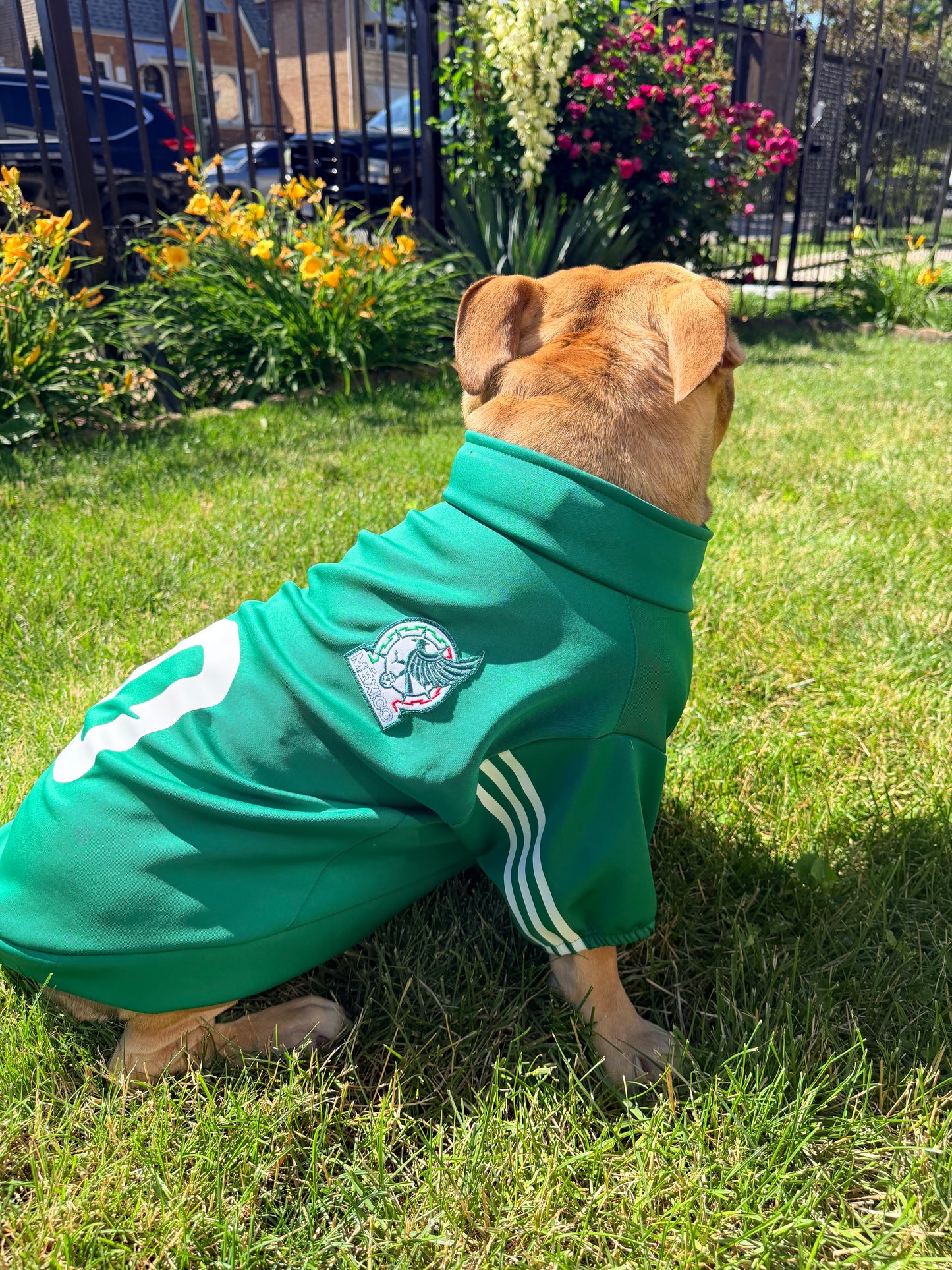 Mexico zip up
