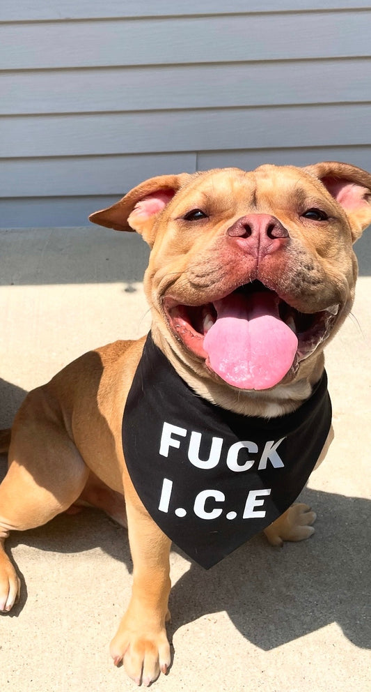FU%K ICE