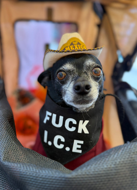 FU%K ICE