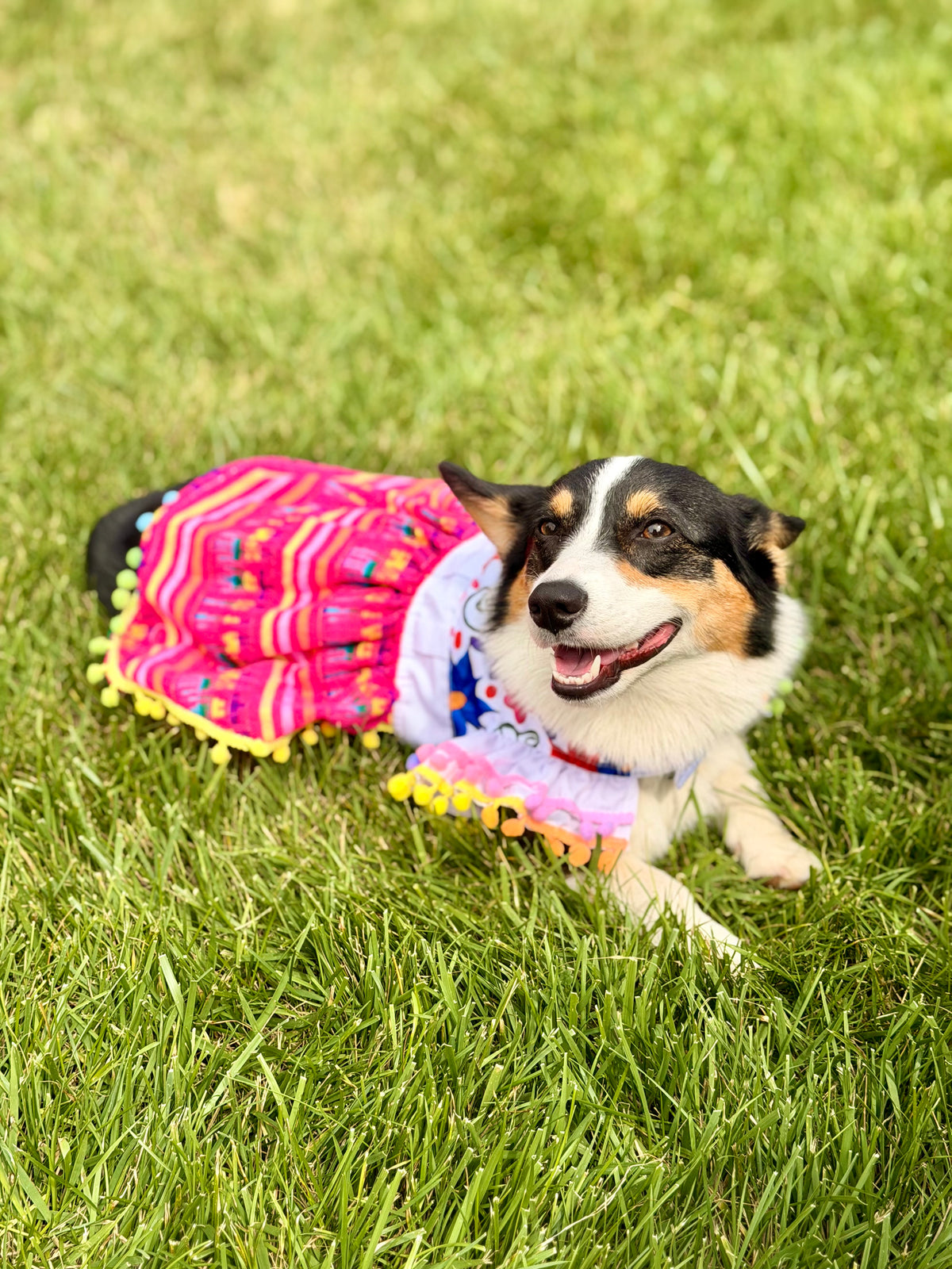 Pink Campesino Dress