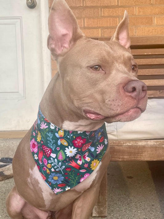 Wild Bloom Pet Bandana