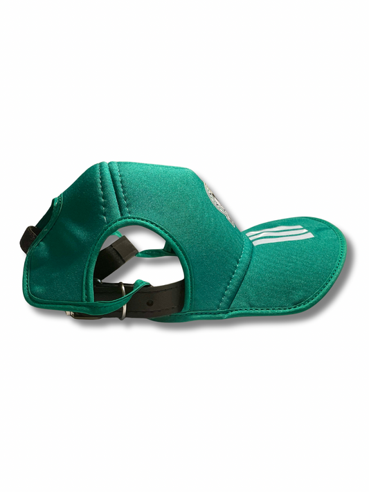Mexico pet cap