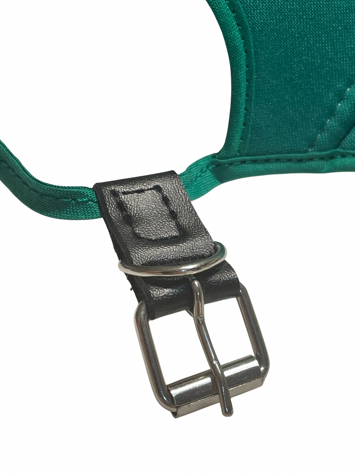 Mexico pet cap