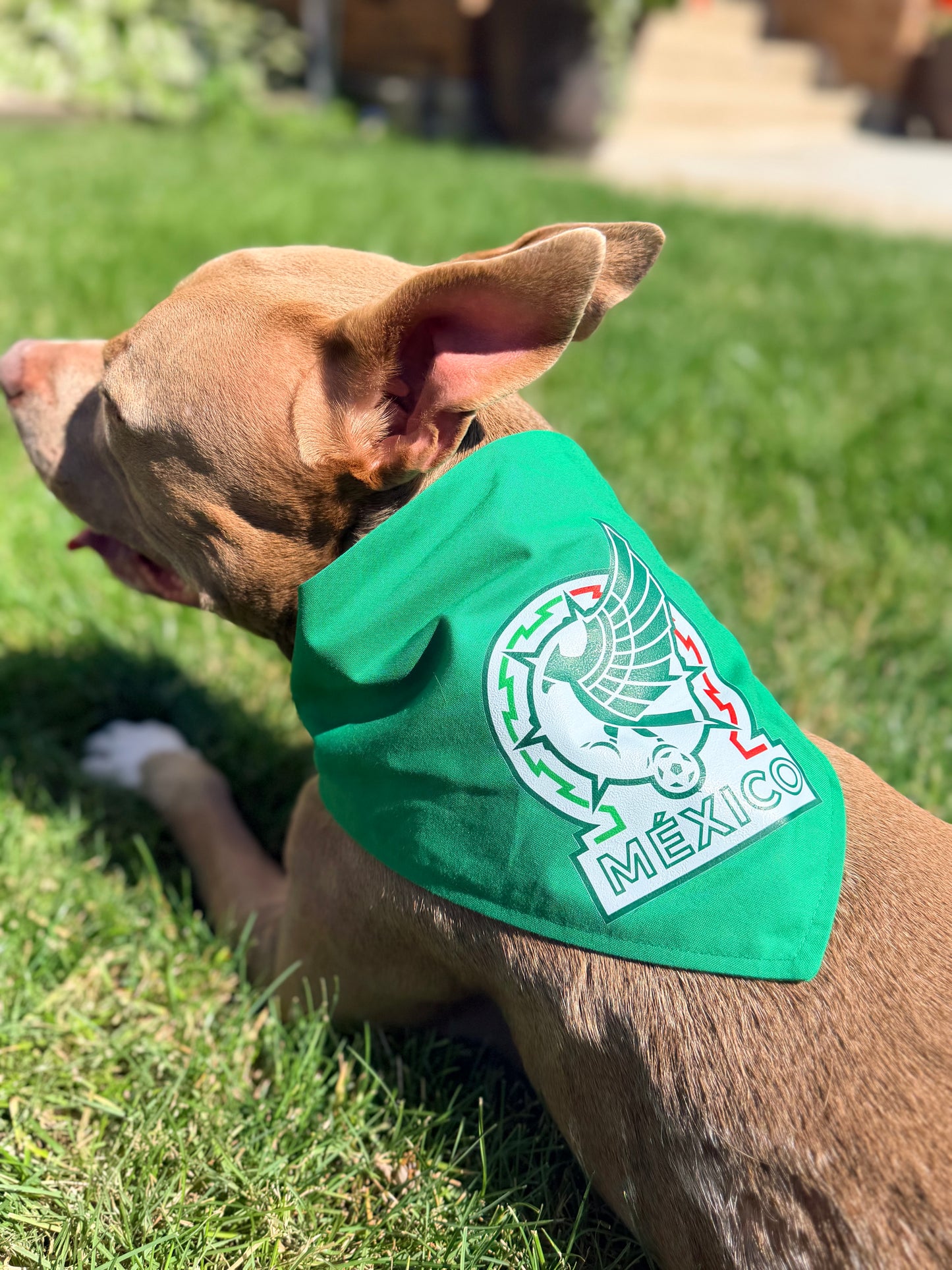 Selección México Bandana