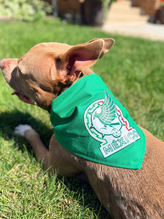 Selección México Bandana