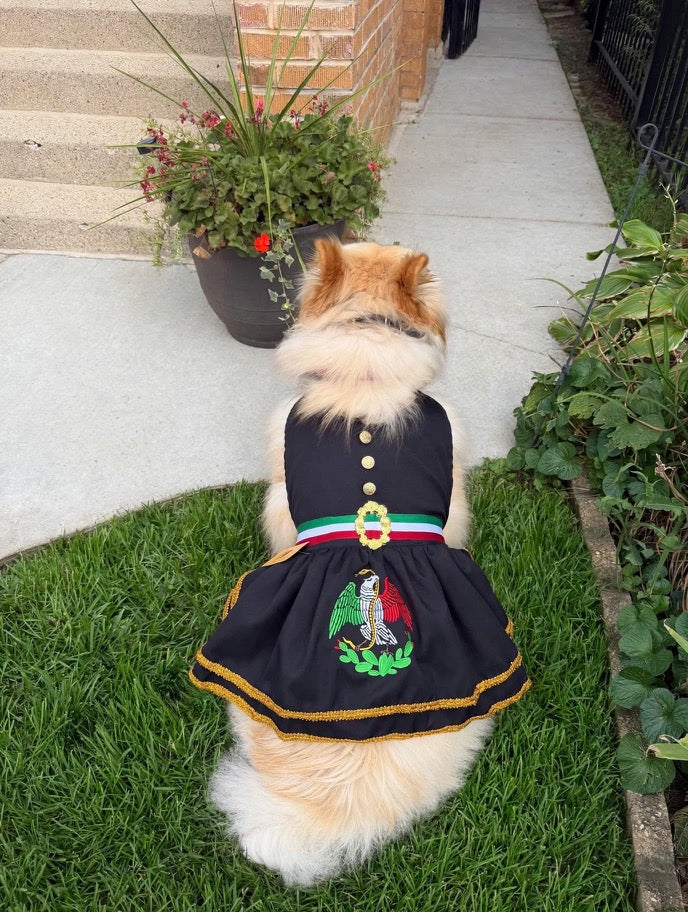 Bordado Mariachi Dress