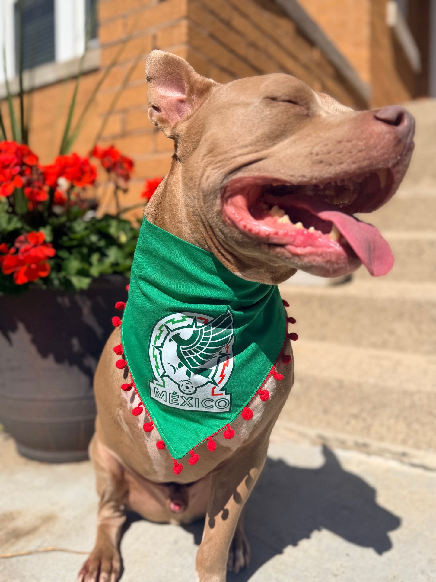 Selección México with Pom poms Bandana