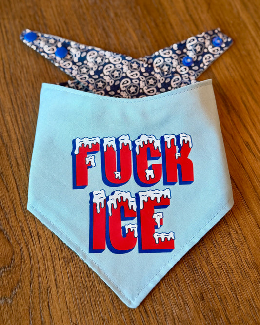 F ICE