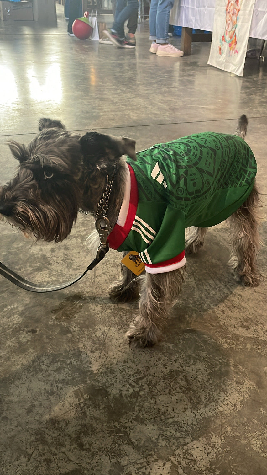 GREEN Selección México Pet Jersey