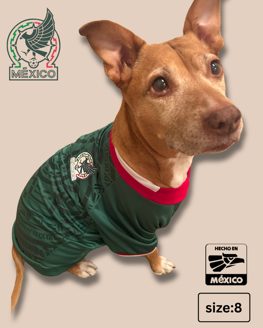 Selección México Pet Jersey