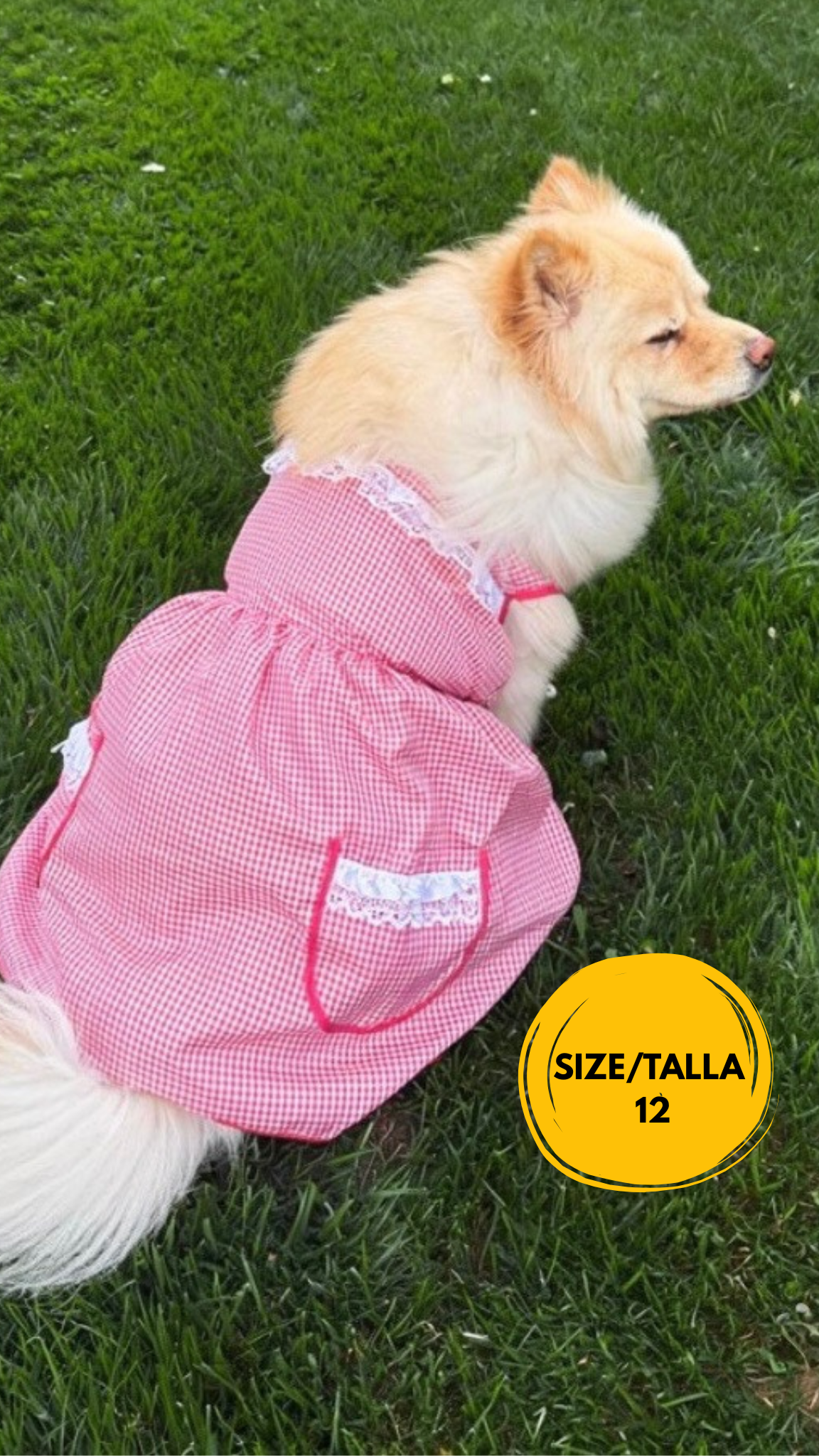 “La Dona” Pet Mandil