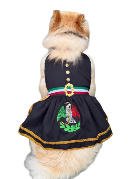 Bordado Mariachi Dress