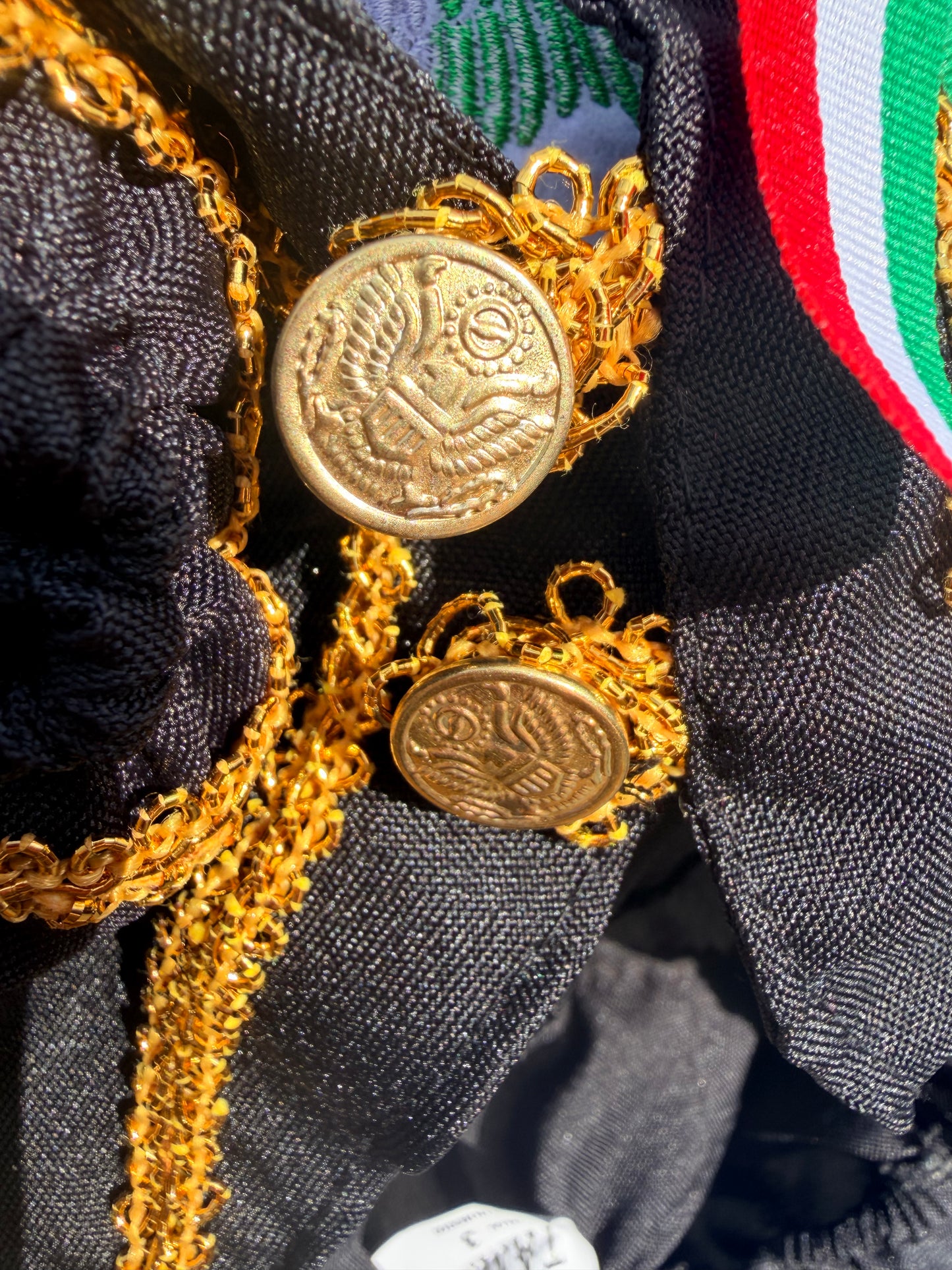 Mariachi Suit
