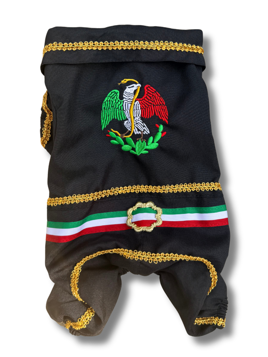Mariachi Suit