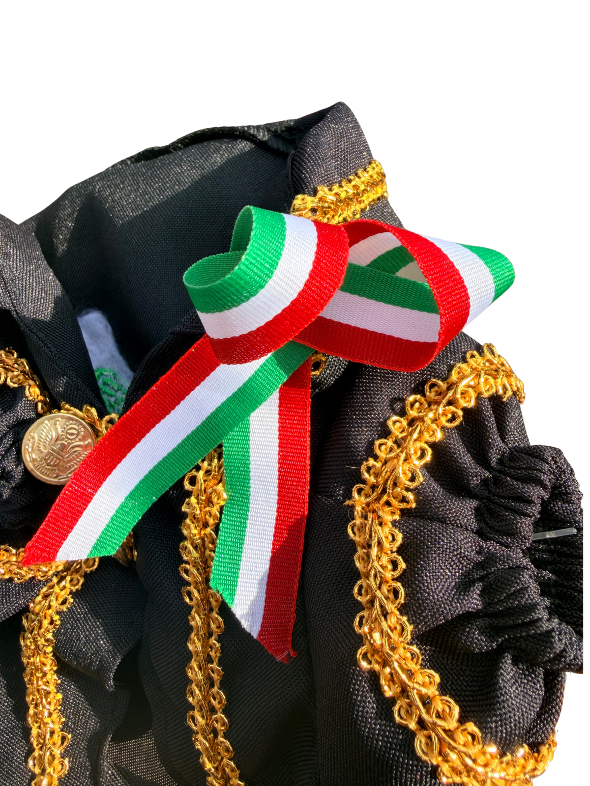 Mariachi Suit