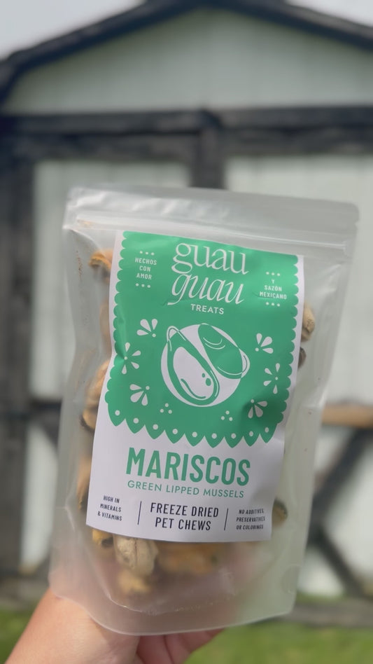 Mariscos | Green Lipped Mussels